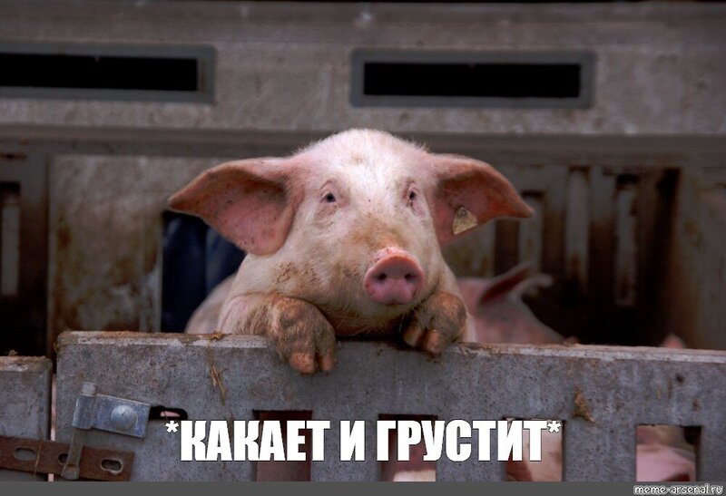 71ddc8701fb25edf96cd9b9de1c82af6.thumb.jpg.3e82fe73430f4714a1a27b7ff37b6e72.jpg