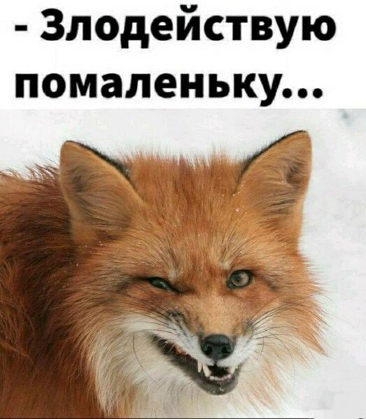 939265340_.thumb.jpg.5398c37e76e38e8e5aedb38fb779d7d8.jpg