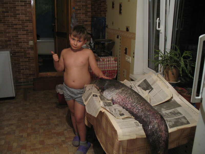IMG_6573.thumb.JPG.6e5adfe0ed5bfc76521a64a601f08953.JPG