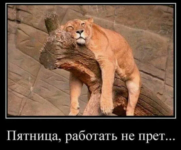 SNIMOK907.jpg