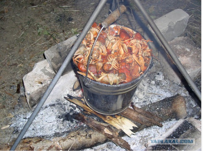 image.thumb.png.034e24a42e1da6e0274c93e64efe34c6.png