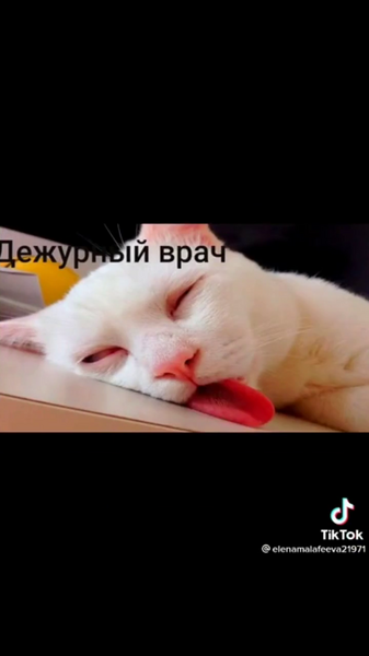 image.thumb.png.075f8185d9c57dfe5606ecf0bf434d62.png