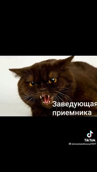 image.thumb.png.1805486e0de1d1f65c5b5cb65e9f5d36.png