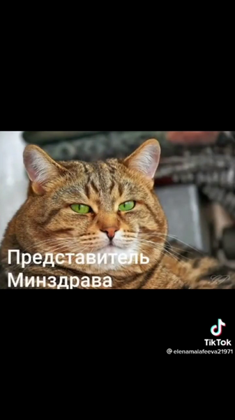 image.thumb.png.27b233707820b751a3d25dcddb05fd31.png