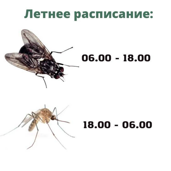 image.thumb.png.29e814c9d0ece2695d8ecf74dadc5927.png