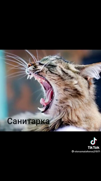 image.thumb.png.2fd61184278f56ad5b3c544568938421.png
