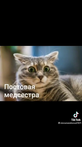 image.thumb.png.4cdfadbad21c4db132cd00a4111865d0.png