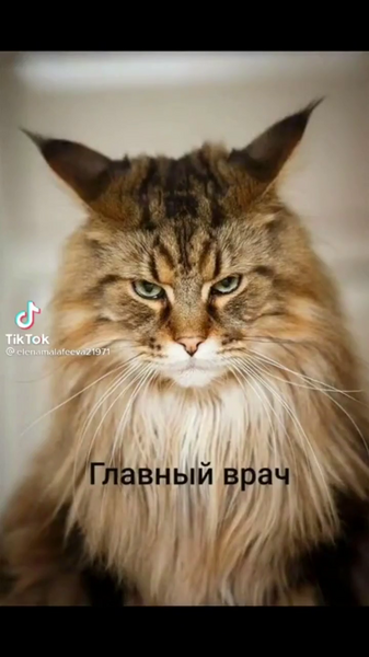 image.thumb.png.7e25a5a6ee1ea26b23d45303178f99bc.png