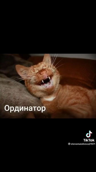 image.thumb.png.8aec745739ad488fc40461d35ae6406b.png