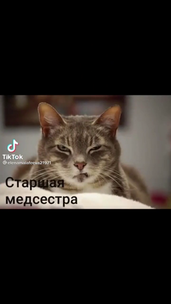 image.thumb.png.91461611164fc3ec9912fd0becd91df7.png