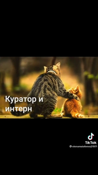 image.thumb.png.93baa5e618271828cf46beaef27cd62a.png
