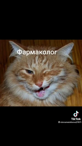 image.thumb.png.a0d519925cb2edc013c201b069a681f0.png