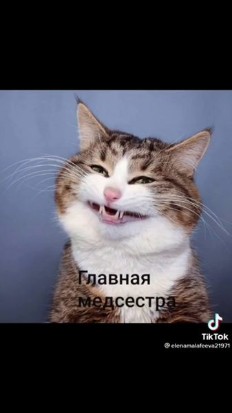 image.thumb.png.aca8753215a4211b96a9df910e098569.png