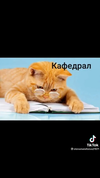 image.thumb.png.b51f4ac082bbf11e29760a8fae79e2e4.png