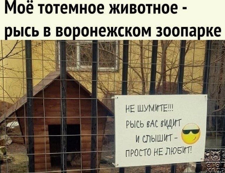 iooewolc_lg.jpg.46baa4c5fd173ee31c2824445977865b.jpg