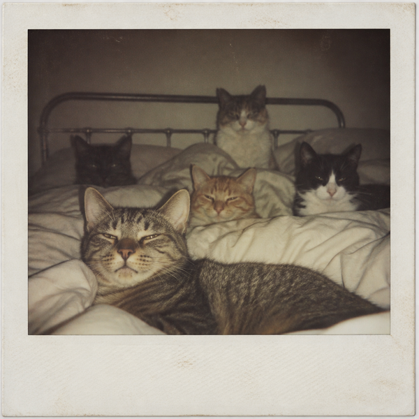 image.thumb.png.83014dff088ceae1034a13dd961e4fe7.png