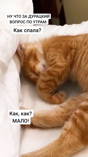 image.thumb.png.89f3f9a13cd34fd0cf470d08fe9d62ab.png