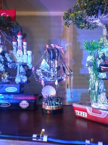 20260916_194827.jpg