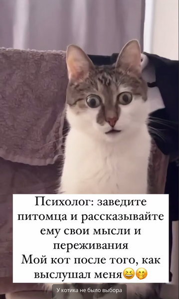 image.thumb.png.9f34680cc3382a268ce445e24638edba.png