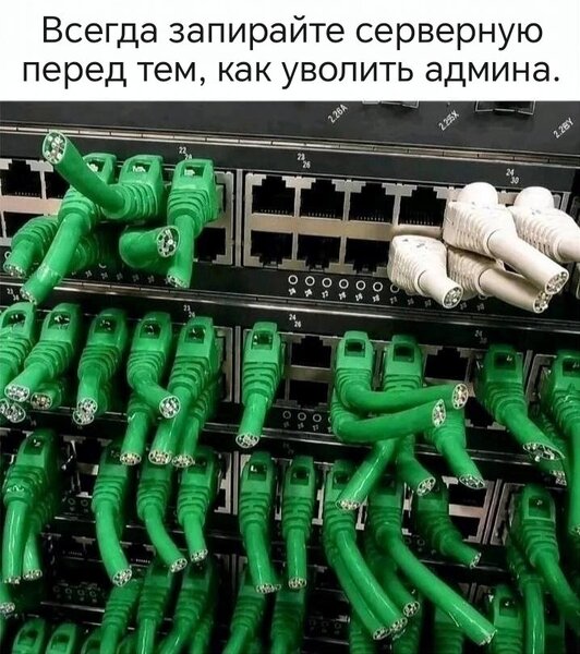 te5ewhi7_lg.thumb.jpg.082acc5156381c72647427d583ff3f8c.jpg