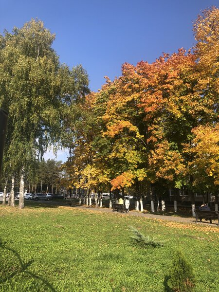 IMG_9698.jpeg