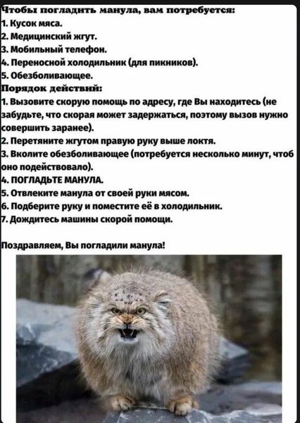 Screenshot_2026-10-07-10-39-35-277_com.yandex.searchapp-edit.thumb.jpg.0c8584d5c9dba3fe698a77b57dbe2b6d.jpg