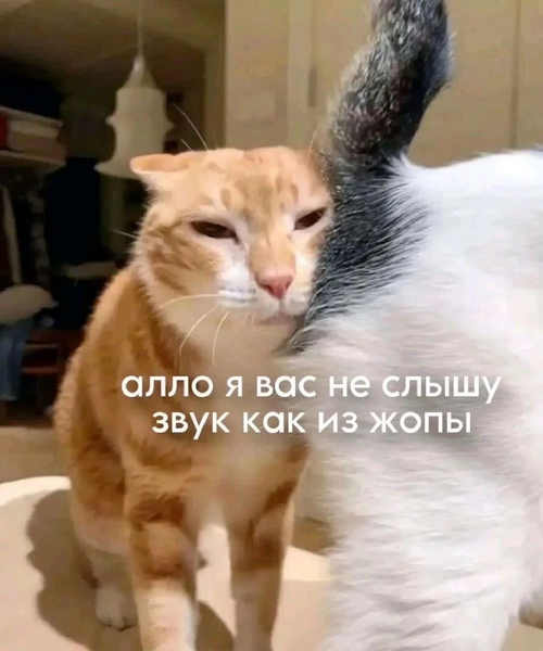 image.thumb.png.1f0ee7b3e20c900eae7e9a50462770c6.png