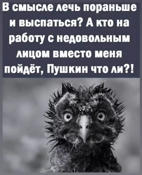 image.thumb.png.b31e4e668958e3a2039229e260577285.png